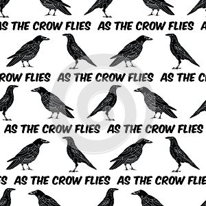 Vector Black Crows Ravens Birds on White Seamless Repeat Pattern