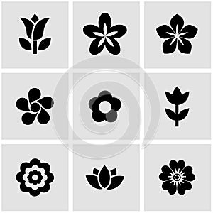 Vector black flowers icon set