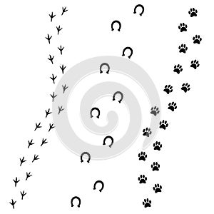 Vector black foot prints of dog horse and bird