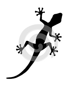 Vector black gecko lizard silhouette