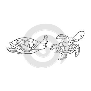 Vector black outline cartoon doodle sea turtles.