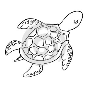 Vector black outline cartoon doodle sea turtles.