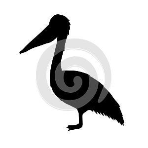 Vector black pelican silhouette