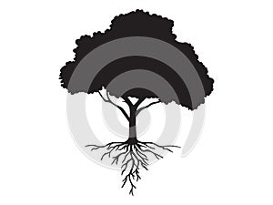 Vector black shape silhouette of a tree with roots