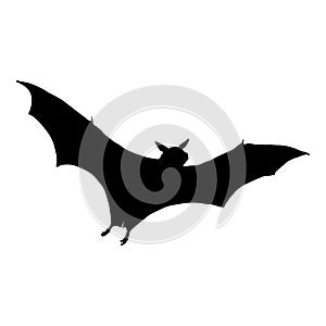 Vector Black Silhouette of Bat
