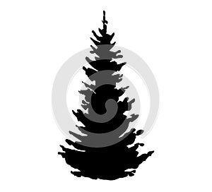 Vector black silhouette of fir tree isolated on white background