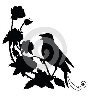 Vector black silhouette nightingale and flower composition