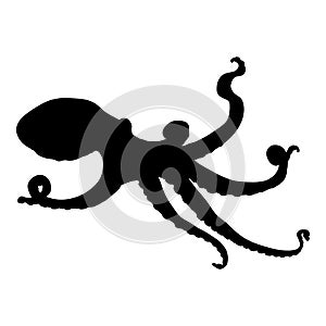 Vector Black Silhouette of Octopus