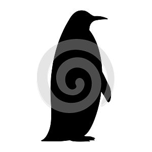 Vector black silhouette of a penguin