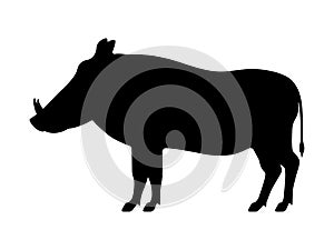 Vector black silhouette warthog