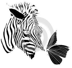 vector black silhouette of Zebra head with butterfly animal