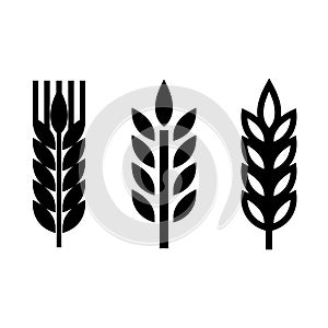 Vector black wheat ear spica icons set photo