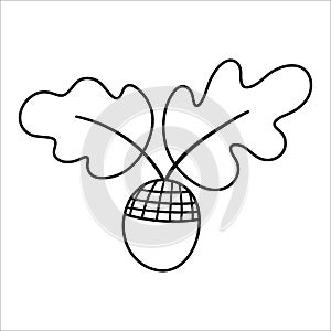 Vector black and white acorn with oak leaves. Outline style autumn woodland icon. Funny fall or forest greenery line illustration