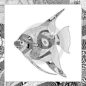 Vector black and white angelfish illustration