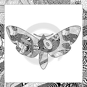 Vector black and white Death's-head Hawkmoth illustration