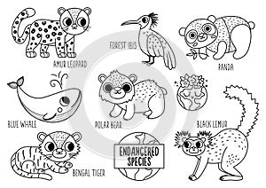 Vector black and white endangered species set. Cute line extinct animals collection. Funny illustration for kids with amur leopard