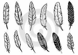 Vector Black and White Feather Set, hand drawn style, vector illustration