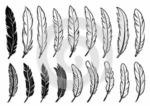 Vector Black and White Feather Set, hand drawn style, vector illustration