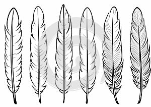 Vector Black and White Feather Set, hand drawn style, vector illustration