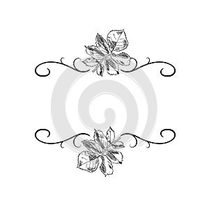 Vector Black and White Floral Frame Blank Template, Isolated Element, Hand Drawn Illustration.
