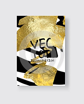 Vector Black White and Gold Design Templates for Brochures