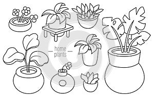 Vector black and white houseplants in pots set. Home plants line icons collection. Leaves and flowers isolated on white background