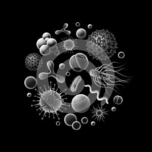 Vector black and white illustration of bacteria and virus cells: cocci, spirilla, bacilli isolated on background