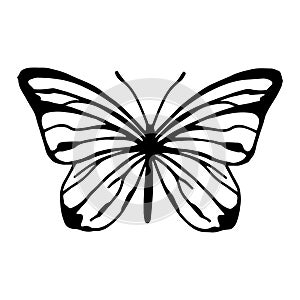 Vector black and white illustration. butterfly Pieris brassicae. silhouette of a butterfly, graphics. mystical symbol, esotericism