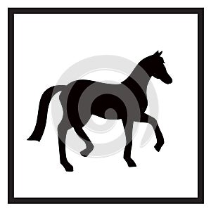 Vector black and white label for horse club or riding club with horse silhouette.