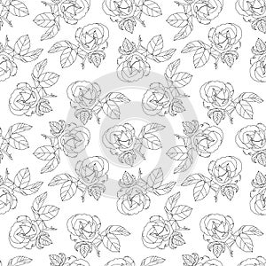 Vector Black And White Roses Fabric Repeating Seamless Pattern Hand Drawn In Botanical Style.