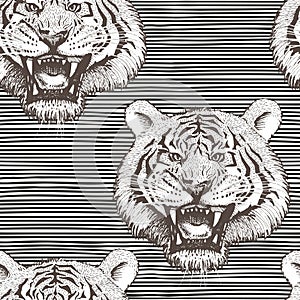 Vector black-white seamless pattern with growling tigers faces on horizontally striped background. Images of tigers are
