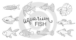 Vector black and white set of aquarium fish isolated on white background