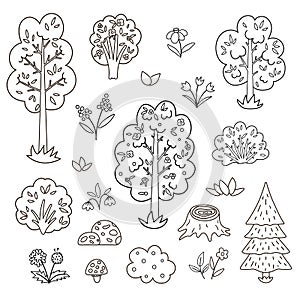 Vector black and white set with garden or forest trees, plants, shrubs, bushes, flowers. Outline spring woodland or farm