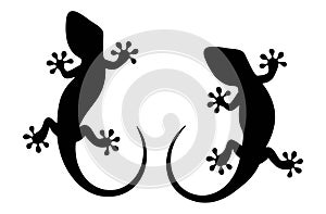 Vector black and white silhouettes of lizard