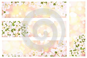 Vector blossoming spring banners.