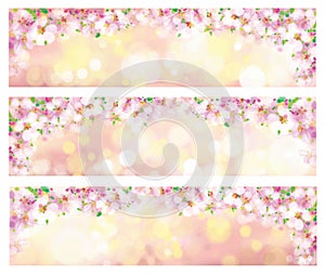 Vector blossoming spring banners.