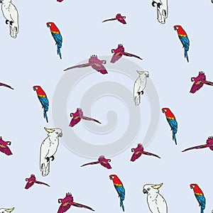 Vector blue background tropical birds, parrots, macaw, exotic cockatoo birds. Seamless pattern background