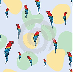 Vector blue background tropical birds, parrots, macaw, exotic cockatoo birds. Seamless pattern background