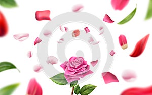 Vector blurred rose petal, leaves background 3d