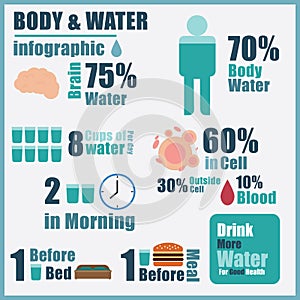 Vector of body water infographic