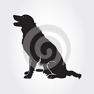 Vector Border Collie Dog Silhouettes.