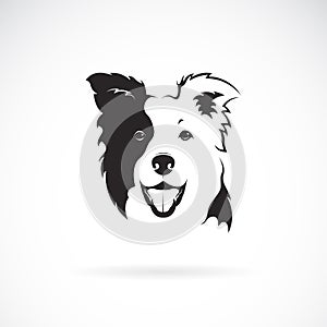 Vector of a border collie dog on white background. Pet. Animal. Dog logo or icon. Easy editable layered vector illustration photo