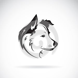 Vector of a border collie dog on white background. Pet. photo