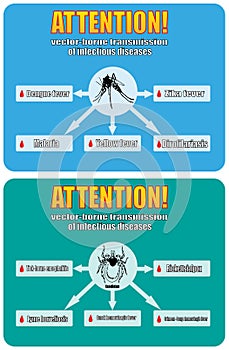 Vector-borne transmission of infectious diseases