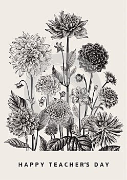 Vector botanical floral illustration. Happy Teacher`s Day. Dahlias.