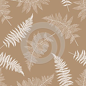 Vector botanical illustration of fern leaf. Isolated outline modern drawing of tropical plant. Set of exotic fern leaves silhouett