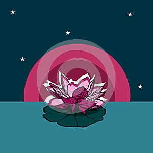 Vector botanical illustration with lotus