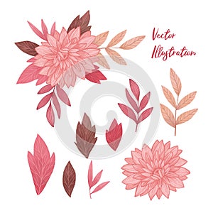Vector botanical illustration with watercolor texture. Bouquet with Pink blossom. Design elements: gentle flowers, branches and