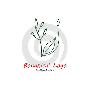 Vector Botanical Logo Design, Editable file in eps.10
