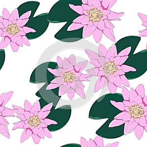 Vector botanical seamless pattern with pink lotus flowers. Background design for natural cosmetics.